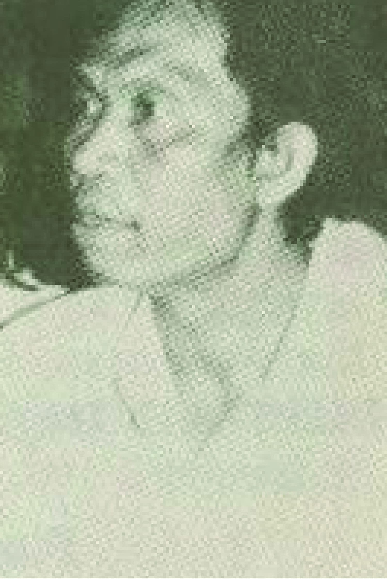 Bung Salim