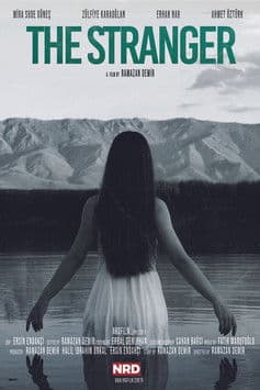 The Stranger