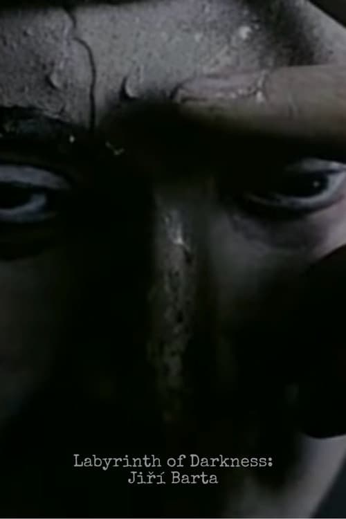 Labyrinth of Darkness: Jiri Barta