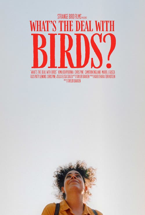 What's The Deal With Birds?