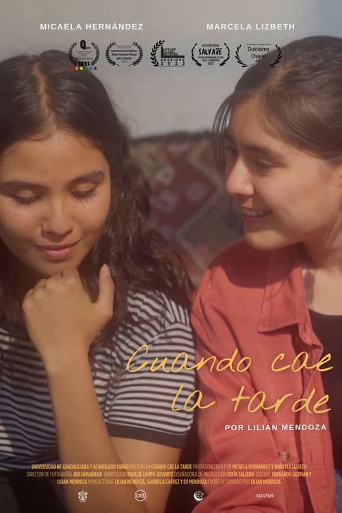 When Afternoon Falls