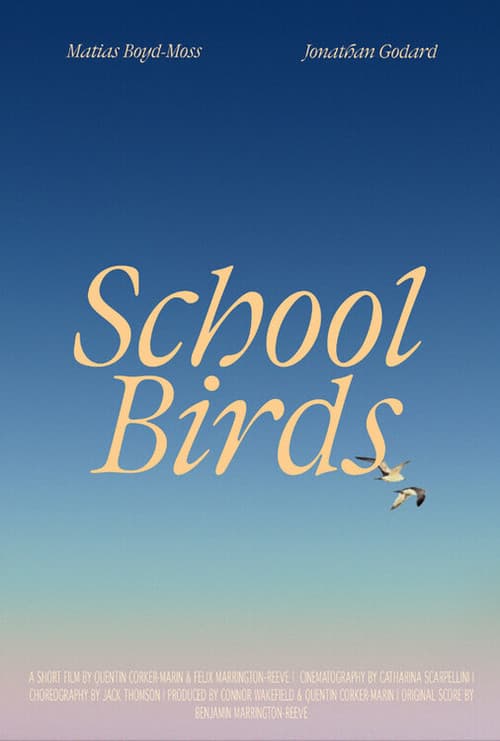 School Birds