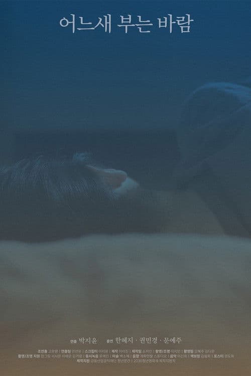 The Consolation of the Wind