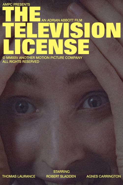 The Television License