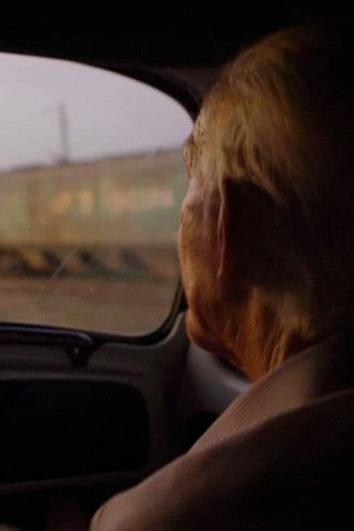 Vou-me Embora pra Paulista