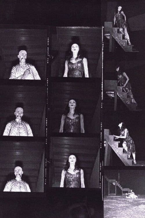 The Miraculous Mandarin