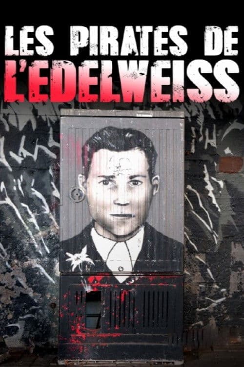 Edelweißpiraten - Teenager gegen Hitler