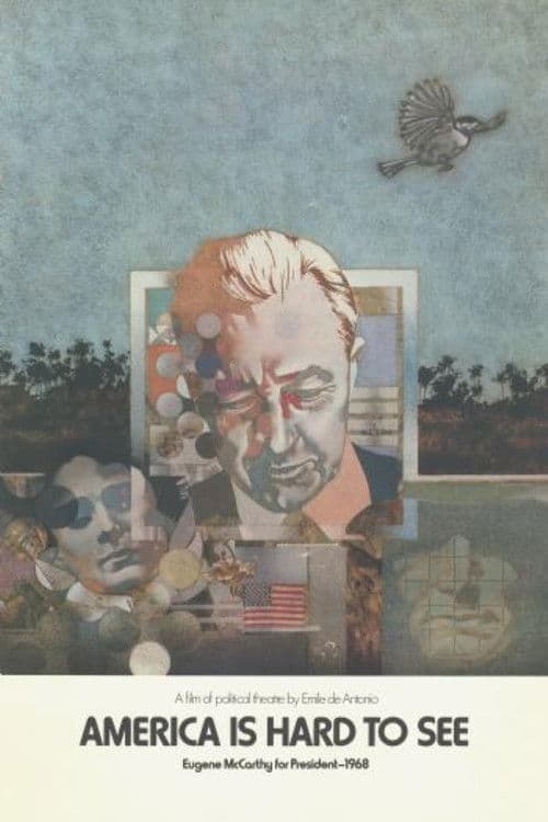 America Is Hard to See