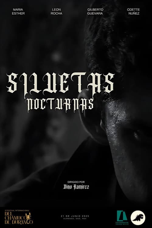 SILUETAS NOCTURNAS