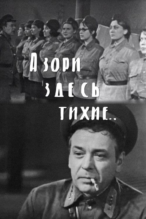 The Dawns Here Are Quiet