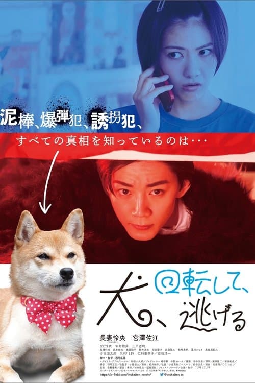 Dog Turns and Runs Away