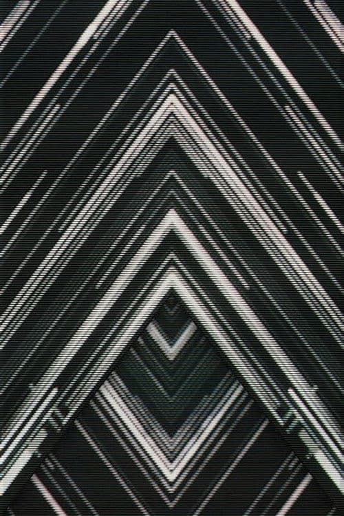 SAKANAQUARIUM 2015-2016 "NF Records launch tour" -LIVE at NIPPON BUDOKAN 2015.10.27-