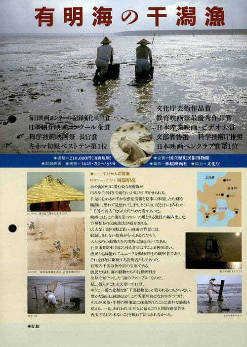 Tideland Fishing The Ariake Sea　