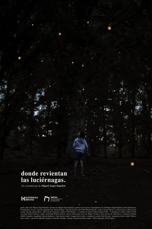 Where the fireflies burst