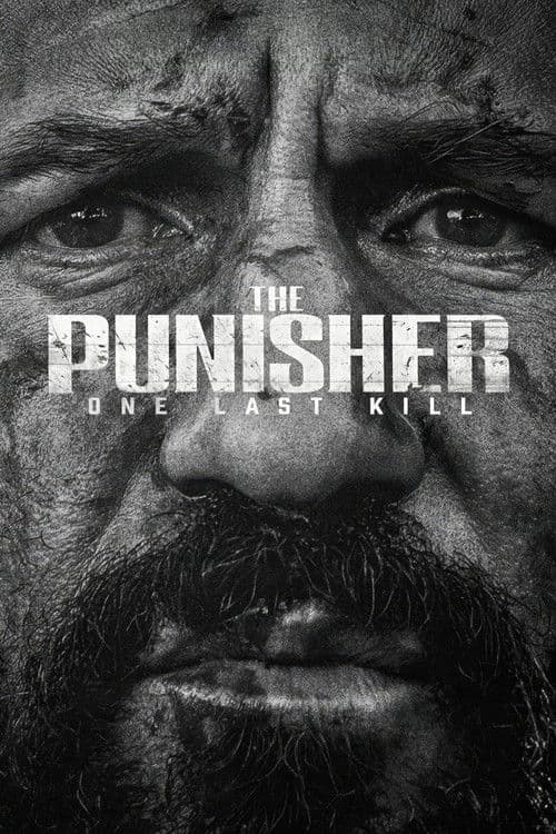 The Punisher: One Last Kill