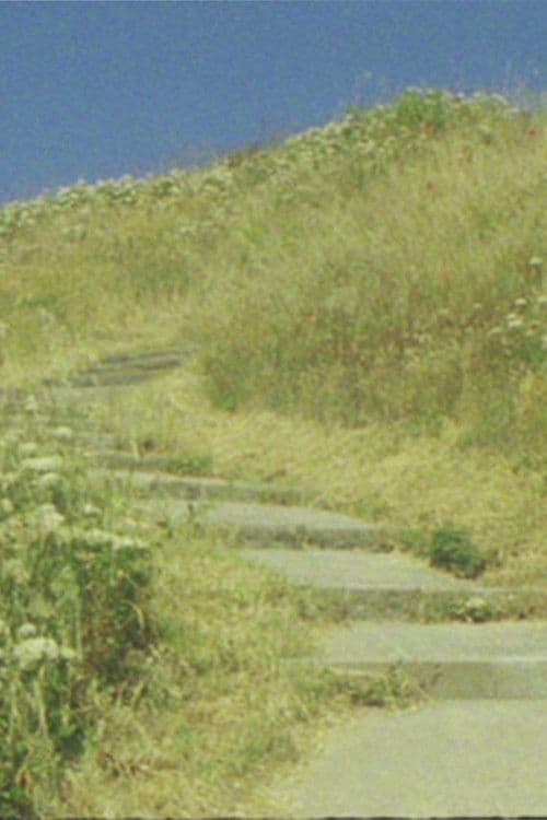 The seagull... and the glory of God