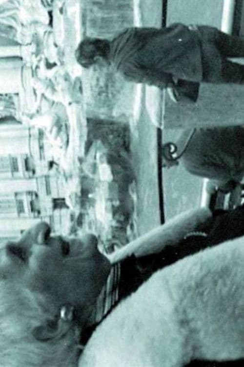 THE INTERPRETER OF BLACK AND WHITE FILMS