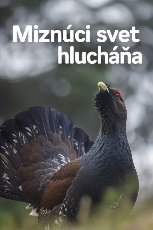 Disappearing World of the Capercaillie