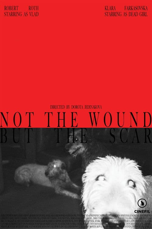 Not the Wound but the Scar