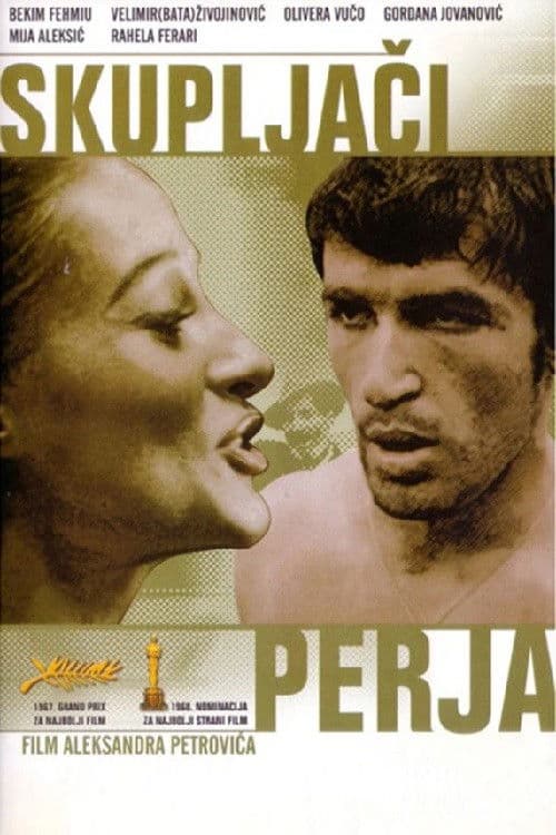 I Even Met Happy Gypsies