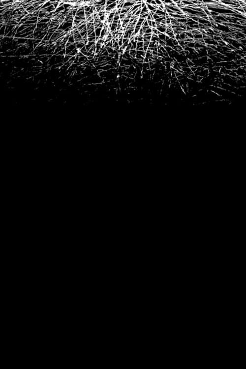 For When I Think, There is This Heaviness That I Would Rather You Not Carry