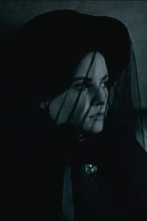 Stammbuch - Júlia asszony titkos éjszakái