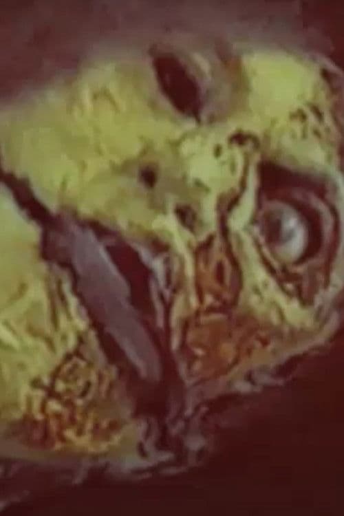 Full Disclosure: Government Cover-up on Alien Abduction