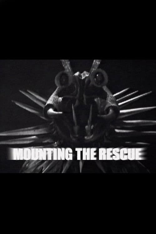 Mounting the Rescue