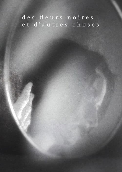 Des fleurs noires et d'autres choses