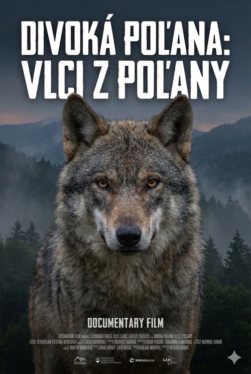 Divoká Poľana: Vlci z Poľany