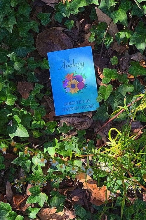 Apology