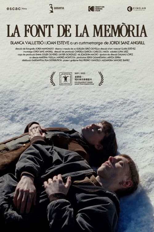 The Fountain of Memory