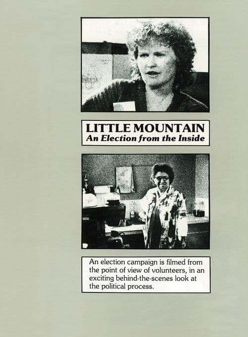 Little Mountain: An Election from the Inside
