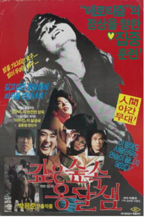 Spring in the Deep Mountain