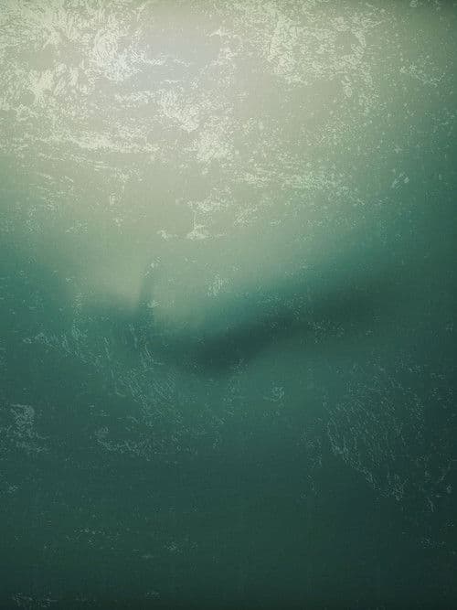 I Don't Want to Walk Alone