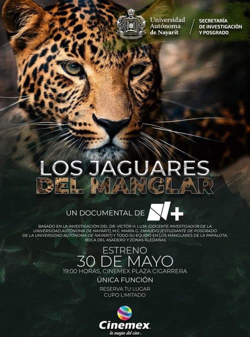 Los Jaguares del Manglar