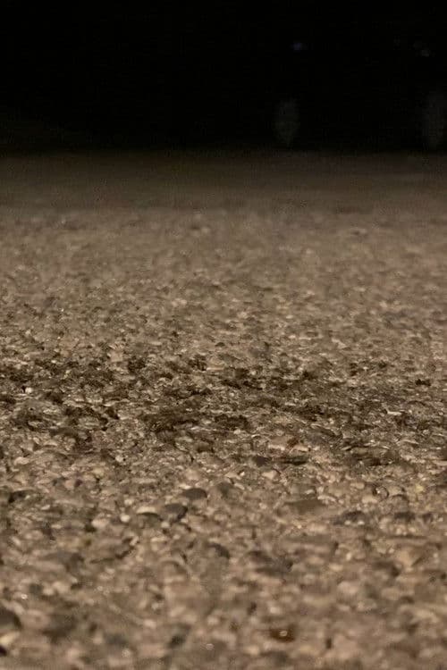 Snails Steadily Stroll the Street 2: Diligent Dirt-Dwellers Dash (Snails Steadily Stroll Lenin Nightcore Remix)