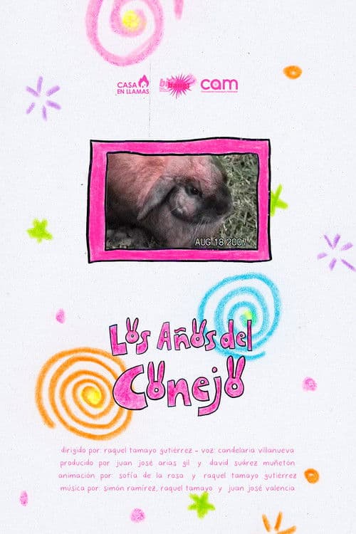 The Years of the rabbit