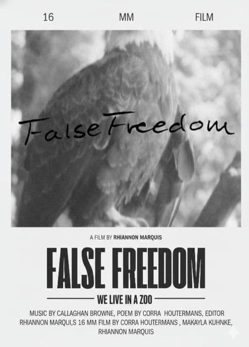 False Freedom