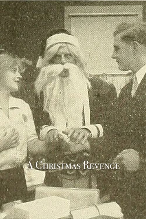 A Christmas Revenge