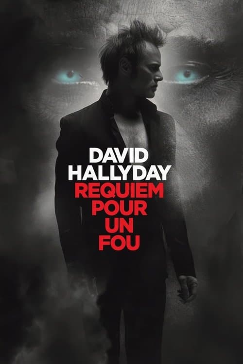 David Hallyday, requiem pour un fou