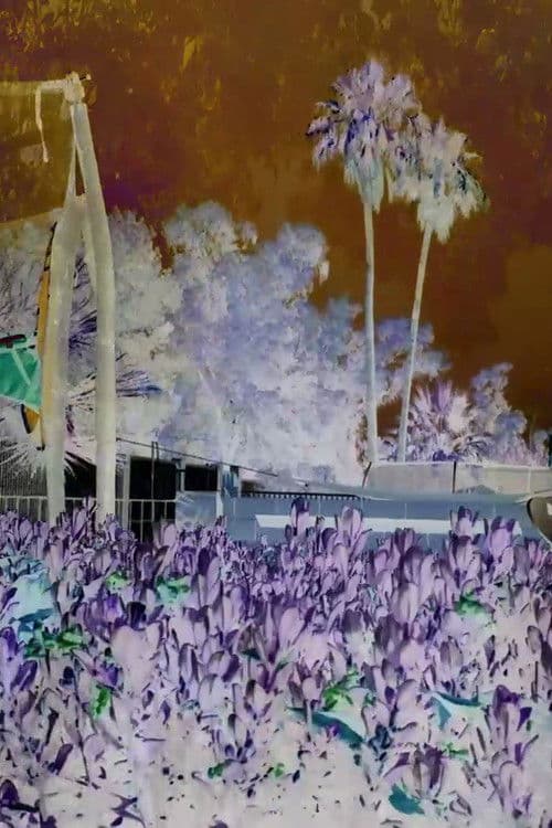 Revisited Remunerations Rapturously Collapse When Recompensed