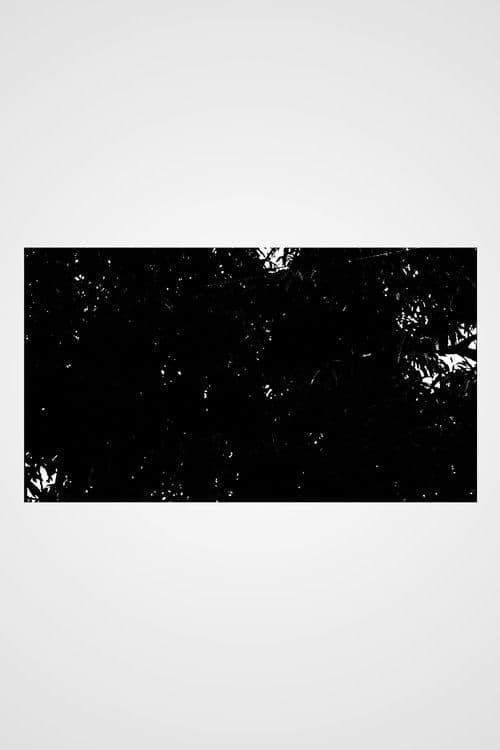 Right Across from Where Mangoes Fall