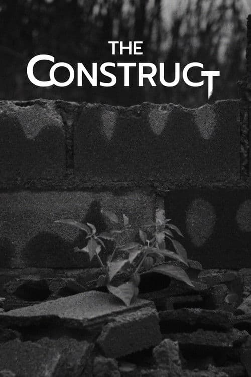 The Construct