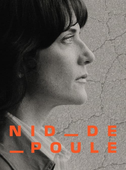 Potholes - Are our roads a public hazard?