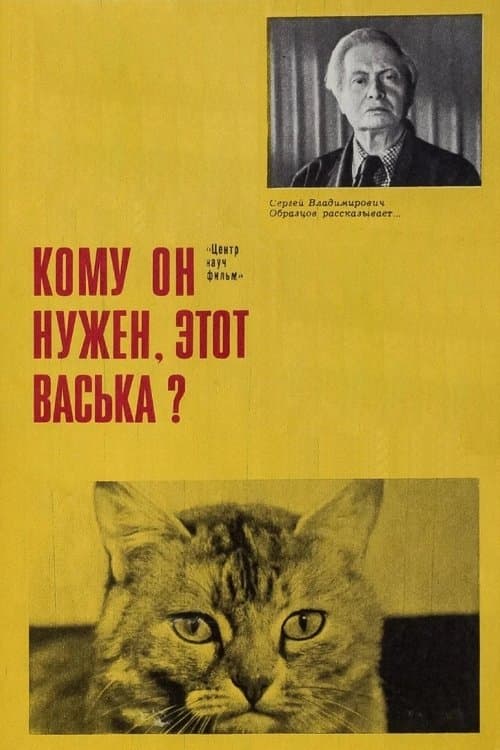 Who Needs This Vaska Anyway!