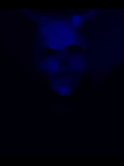 (R)eliving the (E)xecution of (M)yself