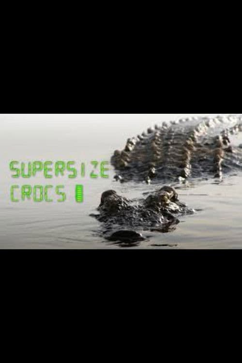 Supersize Crocs - Finding the World's Largest Crocodiles