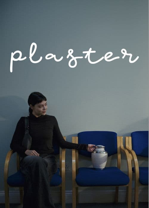 Plaster