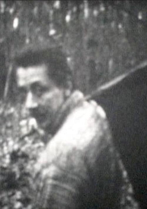 Kormányeltörésben